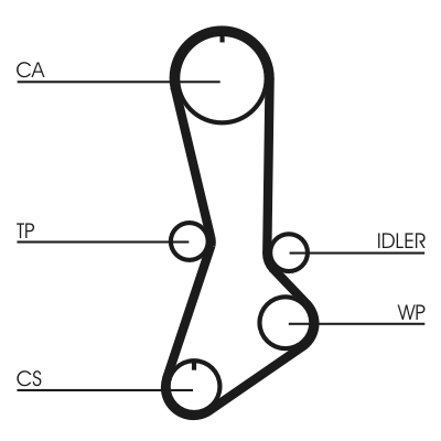 Timing Belt - CT765 CONTINENTAL CTAM