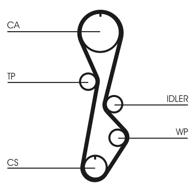 Timing Belt - CT774 CONTINENTAL CTAM
