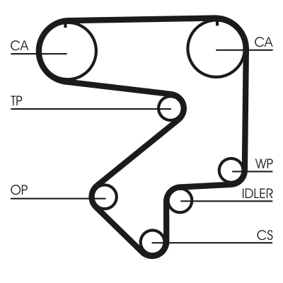 Cinghia dentata - CT783 CONTINENTAL CTAM