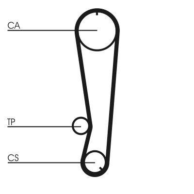 Cinghia dentata - CT788 CONTINENTAL CTAM