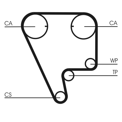 Timing Belt - CT804 CONTINENTAL CTAM