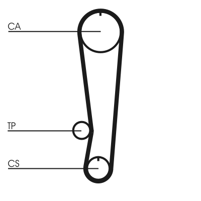 Timing Belt - CT808 CONTINENTAL CTAM