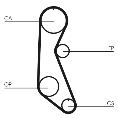 Timing Belt - CT816 CONTINENTAL CTAM