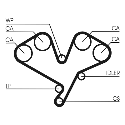 Timing Belt - CT822 CONTINENTAL CTAM
