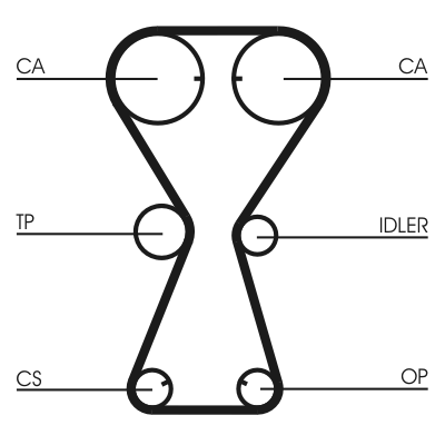 Timing Belt - CT826 CONTINENTAL CTAM