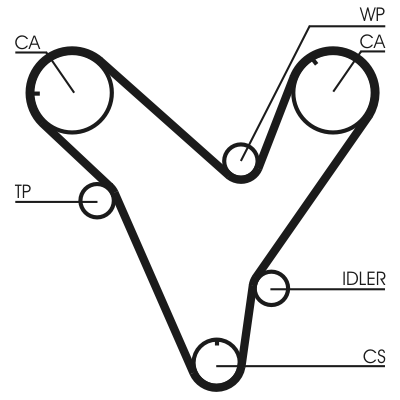 Cinghia dentata - CT829 CONTINENTAL CTAM