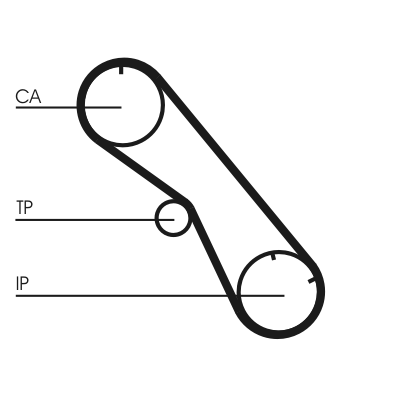 Cinghia dentata - CT860 CONTINENTAL CTAM