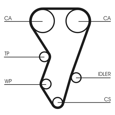 Cinghia dentata - CT864 CONTINENTAL CTAM