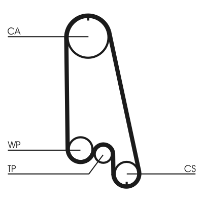 Cinghia dentata - CT874 CONTINENTAL CTAM