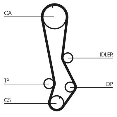 Timing Belt - CT876 CONTINENTAL CTAM