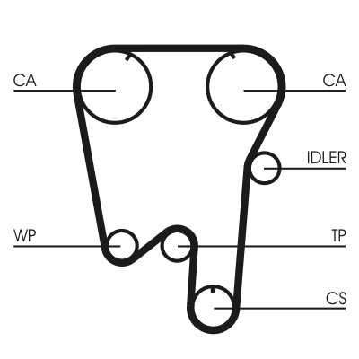 Cinghia dentata - CT902 CONTINENTAL CTAM