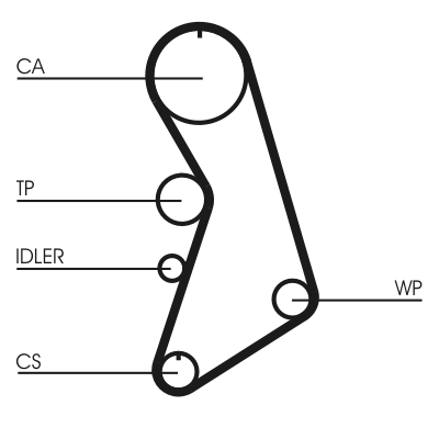 Water Pump & Timing Belt Set - CT909WP5 CONTINENTAL CTAM