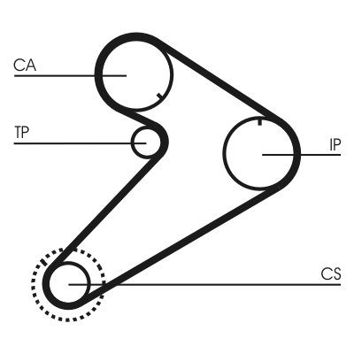 Timing Belt Set - CT921K2 CONTINENTAL CTAM