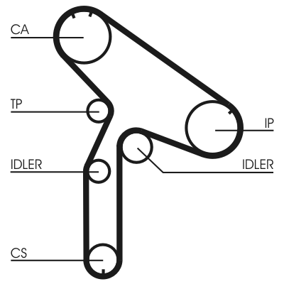 Timing Belt - CT921 CONTINENTAL CTAM