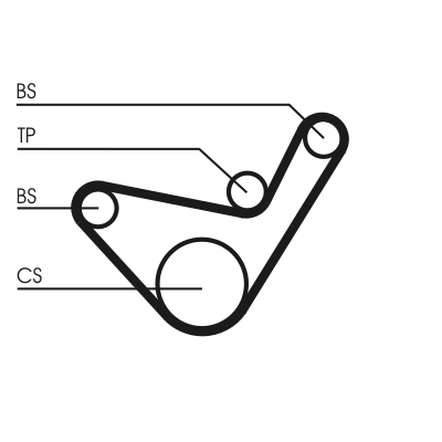Timing Belt Set - CT1107K1 CONTINENTAL CTAM
