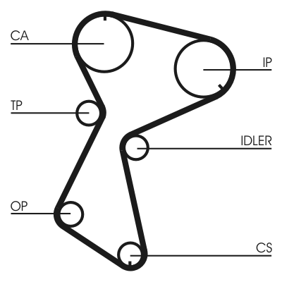 Зубчатый ремень - CT935 CONTINENTAL CTAM