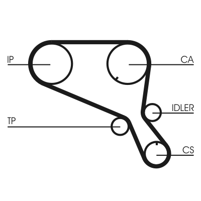 Cinghia dentata - CT952 CONTINENTAL CTAM