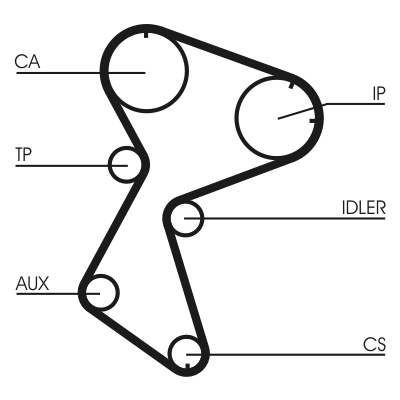 Timing Belt - CT966 CONTINENTAL CTAM