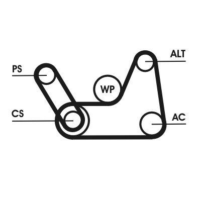 Kit Cinghie Poly-V - 6PK1019 ELAST T1 CONTINENTAL CTAM