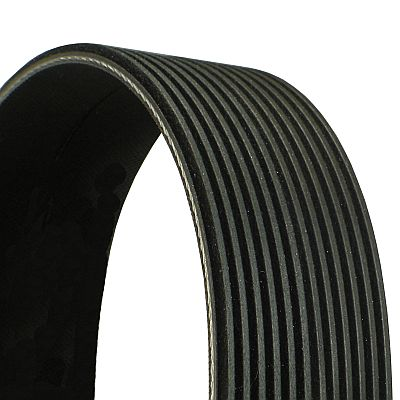 V-Ribbed Belt - 12PK1815 CONTINENTAL CTAM