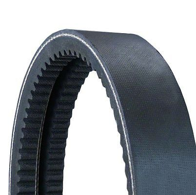Banded V-Belts - 2/AVX13X1150 CONTINENTAL CTAM