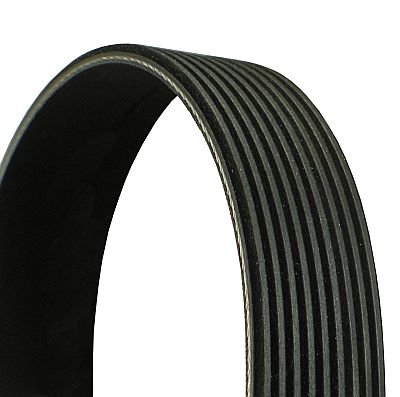 V-Ribbed Belt - 9PK1725 CONTINENTAL CTAM