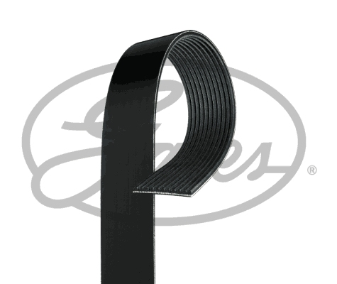 V-Ribbed Belt - 11PK2871HD GATES