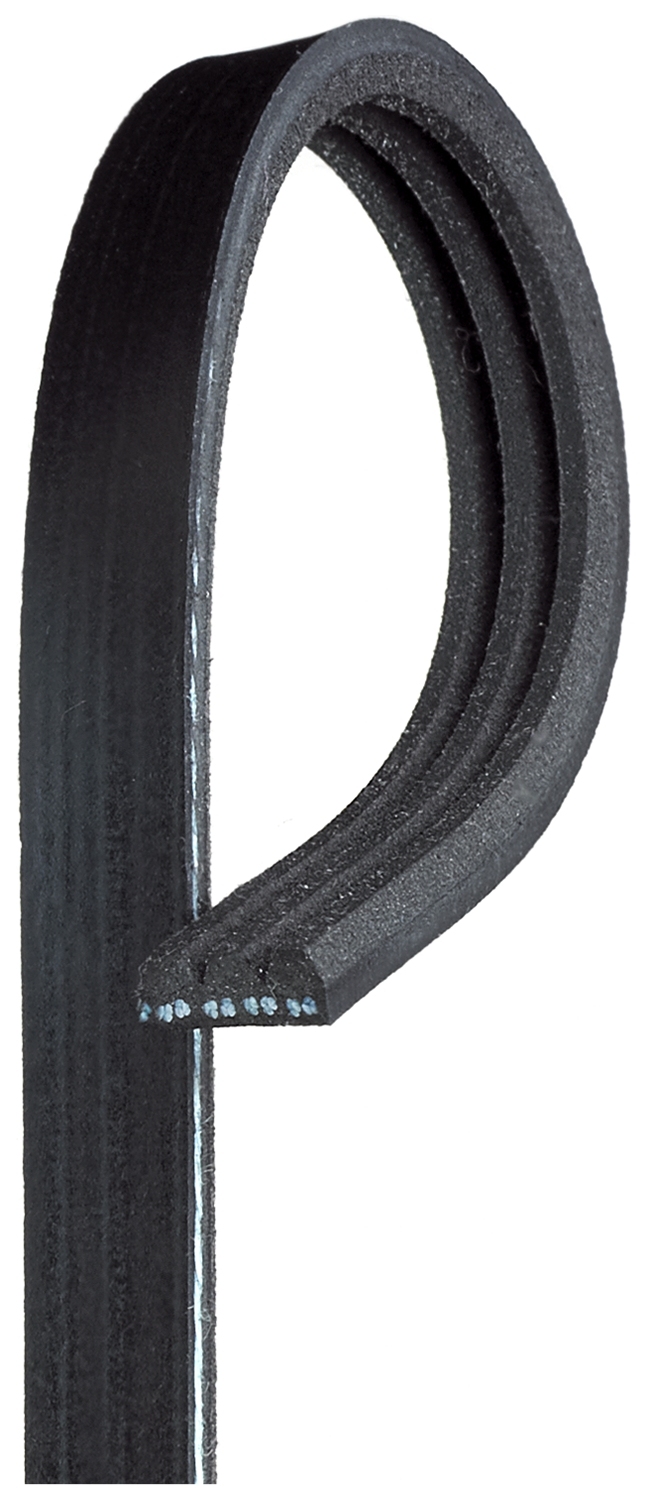 Cinghia Poly-V - 3PK628 GATES