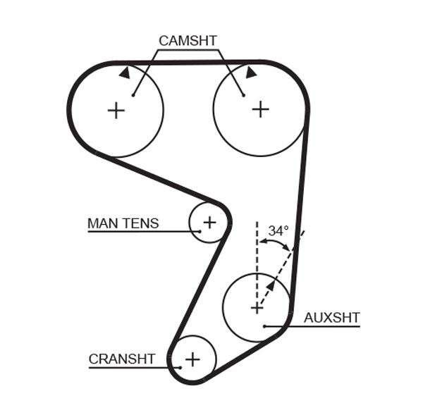 Timing Belt - 5005 GATES