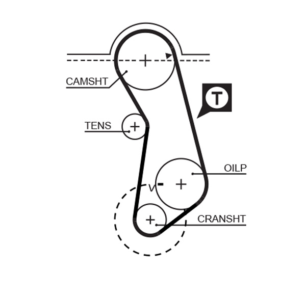 Cinghia dentata - 5016 GATES