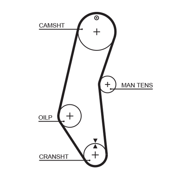 Timing Belt - 5018 GATES