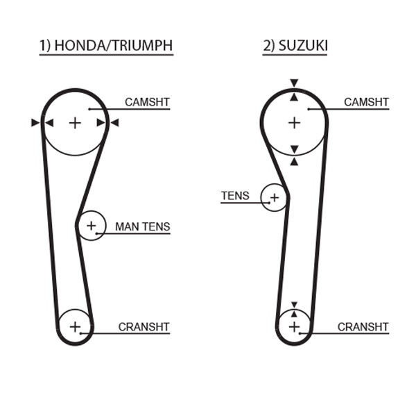 Timing Belt - 5019 GATES