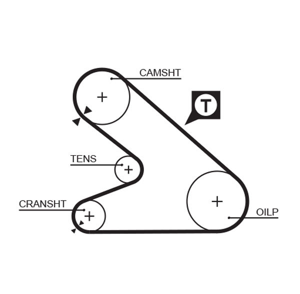 Timing Belt - 5054 GATES