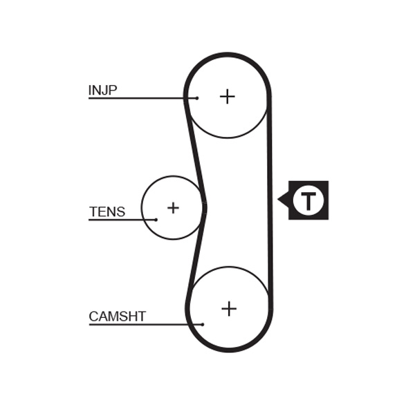 Timing Belt - 5062 GATES
