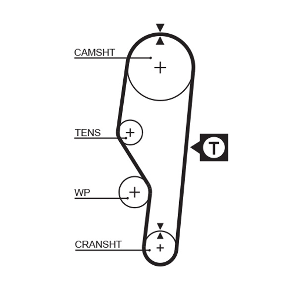 Cinghia dentata - 5063 GATES