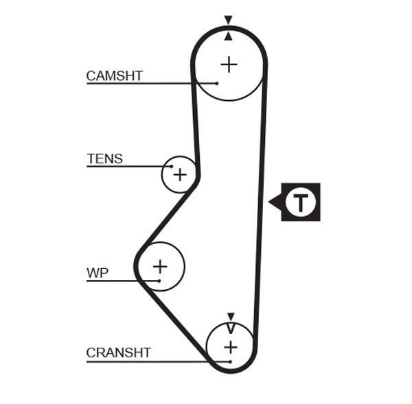 Timing Belt - 5076 GATES