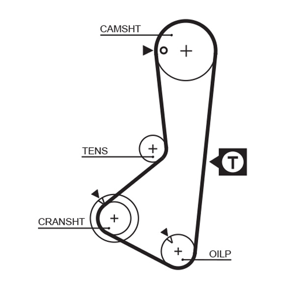 Cinghia dentata - 5110 GATES