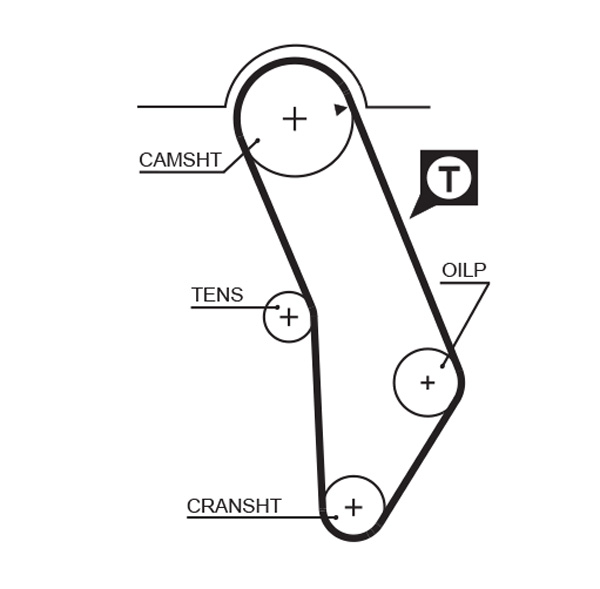 Cinghia dentata - 5183XS GATES