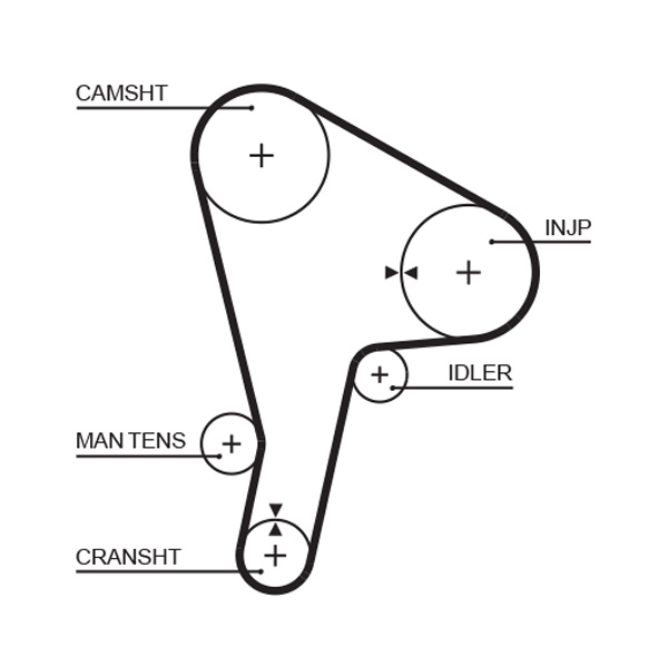 Cinghia dentata - 5190 GATES