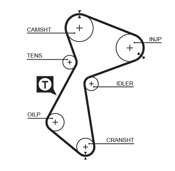 Timing Belt - 5212 GATES