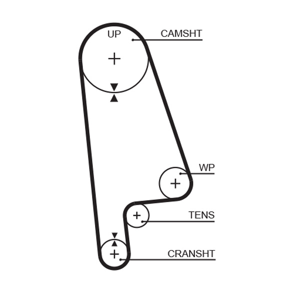 Cinghia dentata - 5233XS GATES