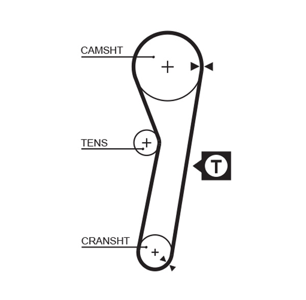 Cinghia dentata - 5262XS GATES