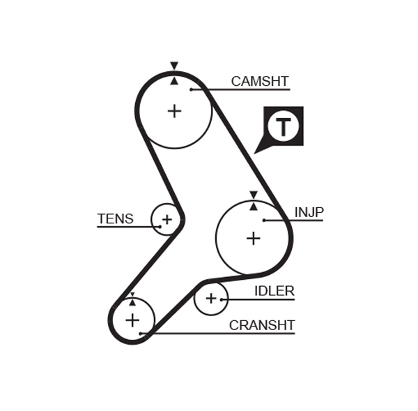 Timing Belt - 5281 GATES