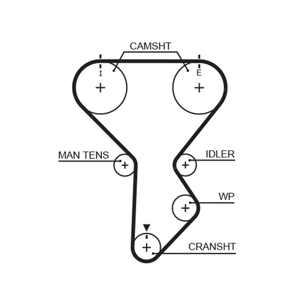 Timing Belt - 5287XS GATES