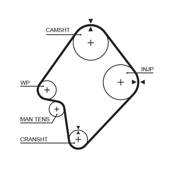 Timing Belt - 5300XS GATES