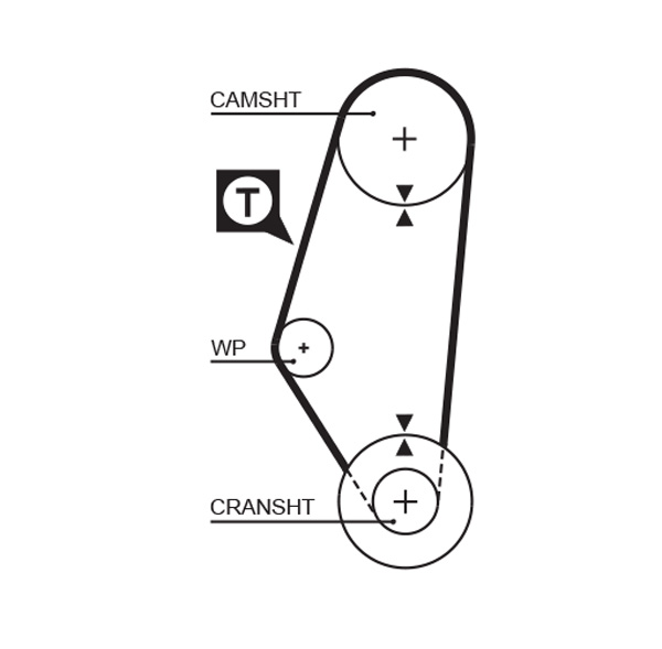 Timing Belt - 5311 GATES