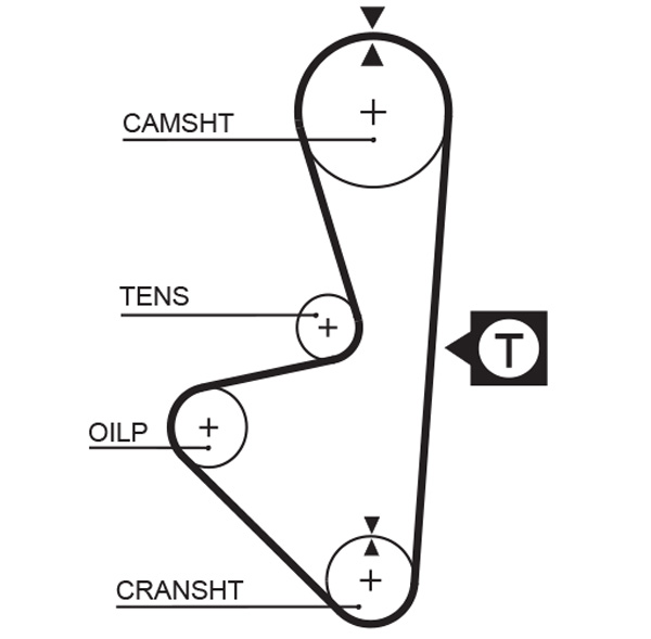Cinghia dentata - 5314XS GATES