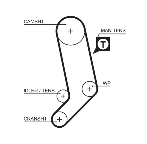 Timing Belt - 5323XS GATES