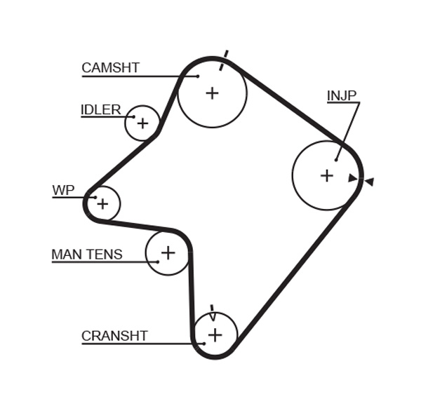 Timing Belt - 5354XS GATES