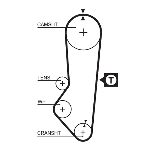 Cinghia dentata - 5357XS GATES